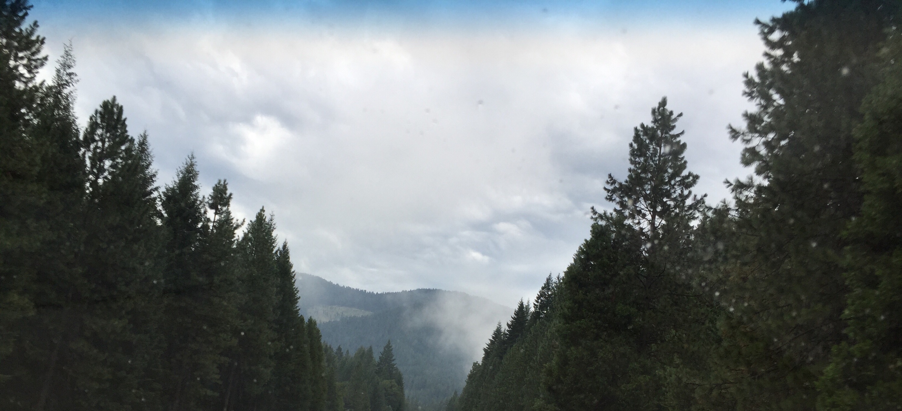 Shalom is in the cloud